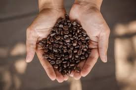 Empresa de café de Coimbra é condenada por vender produto com impureza acima do limite da Anvisa