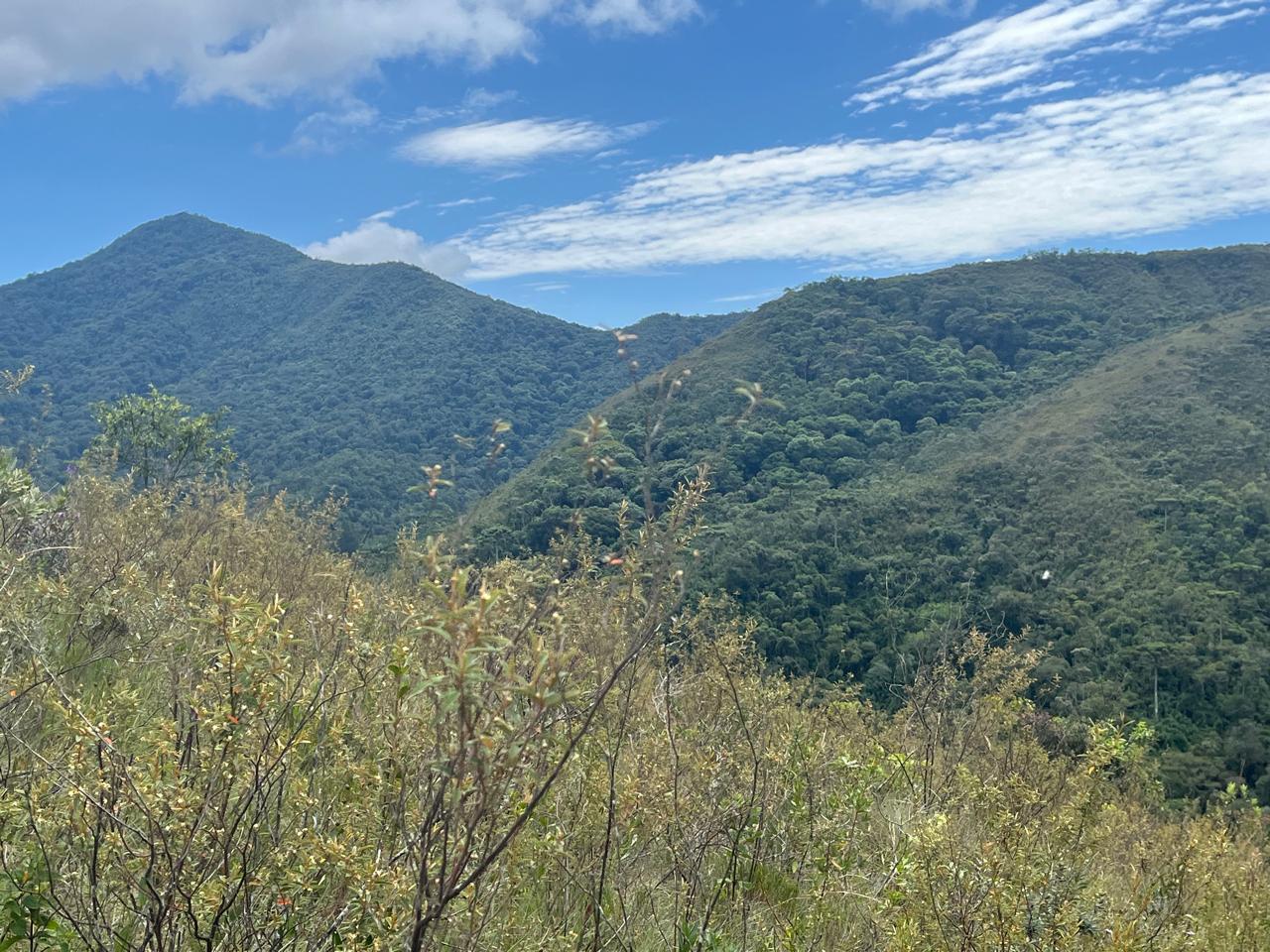 Instituto Estadual de Florestas reconhece a 300ª Reserva Particular do Patrimônio Natural de Minas Gerais