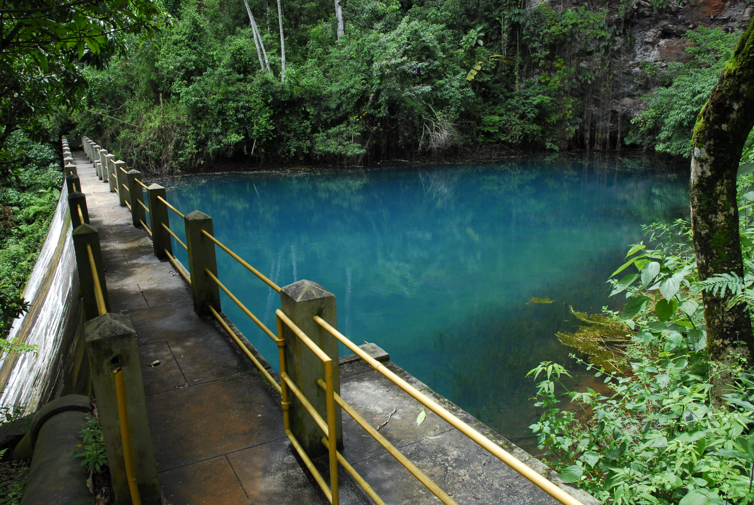 Parque Estadual da Serra do Rola-Moça se consolida como destino de férias de verão na Grande BH