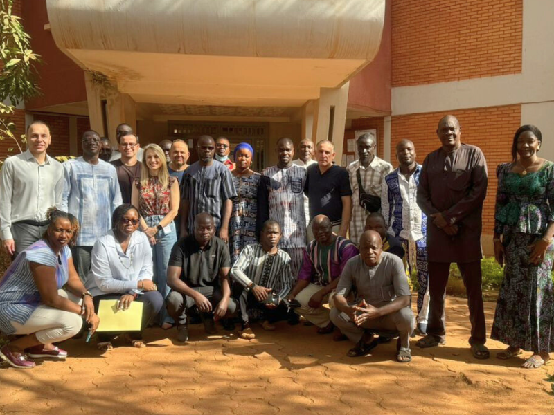 Professores da UFV realizam missão técnica em Burkina Faso para combate a doenças em mangueiras