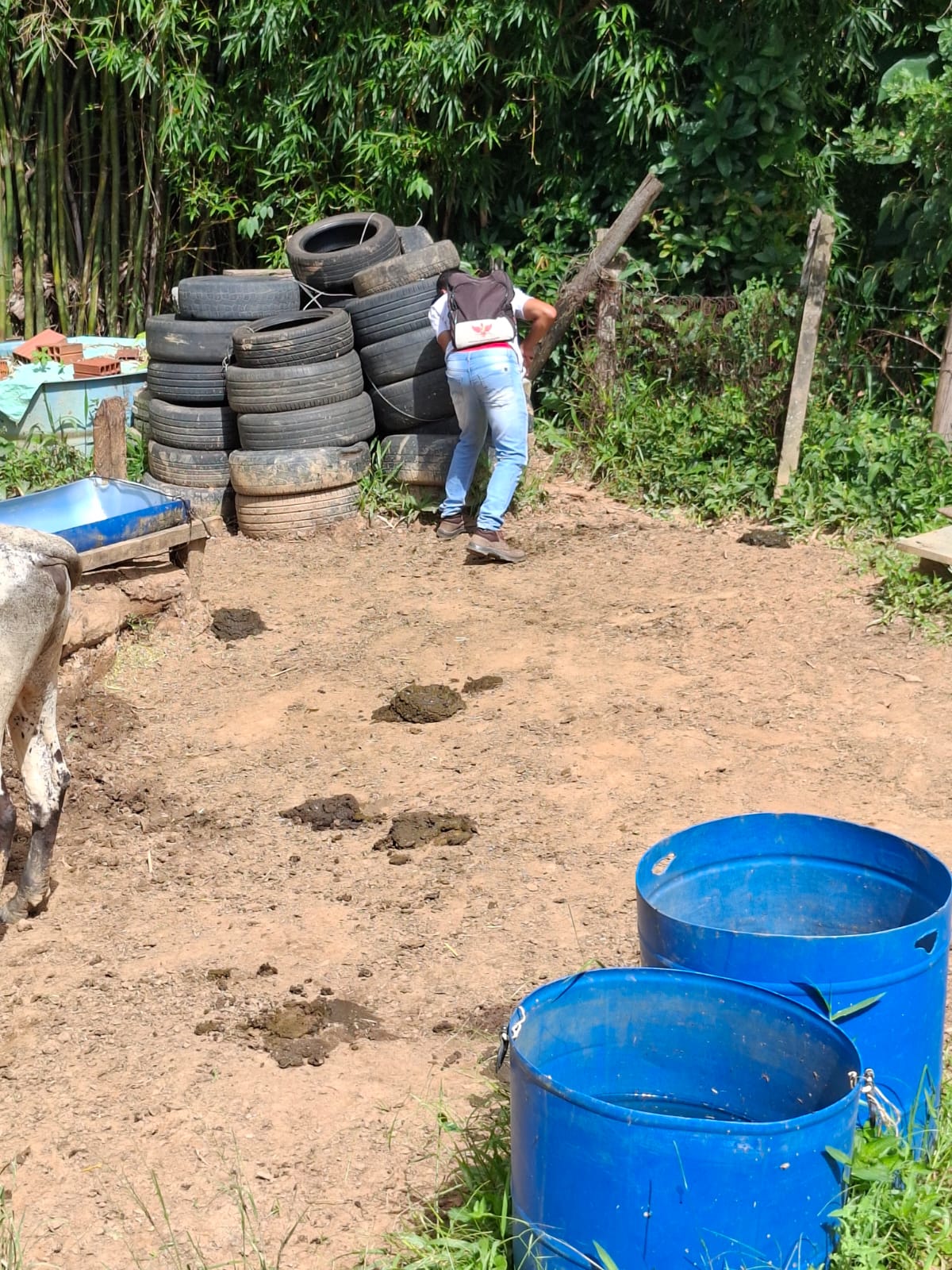 Viçosa registra IIP de 2,4% e reforça ações de combate ao Aedes aegypti