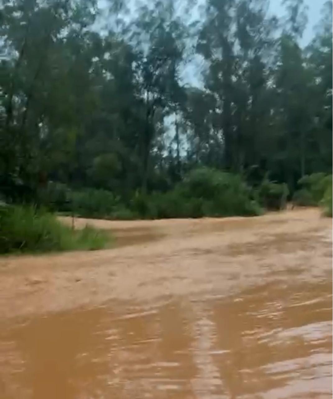 Chuvas elevam nível do Rio Turvão e provocam alagamentos em Ervália
