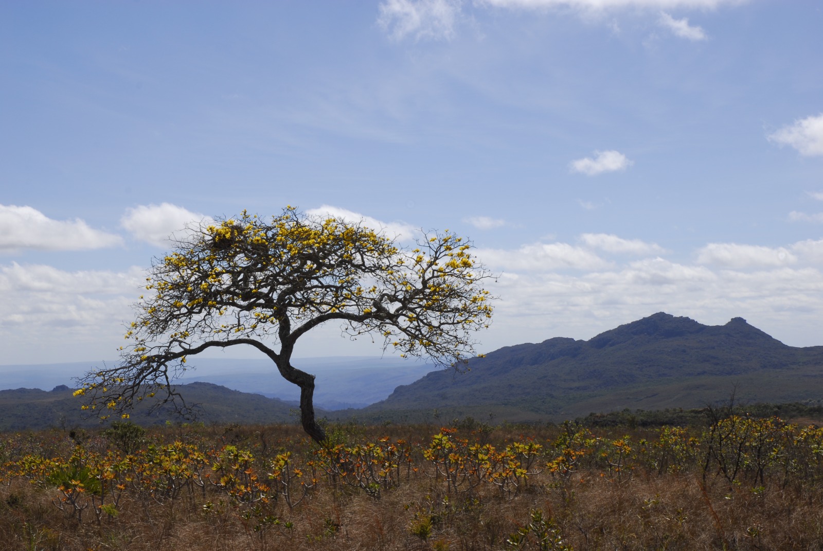 Governo de Minas abre roadshow do projeto de concessão turística do Parque Estadual do Biribiri