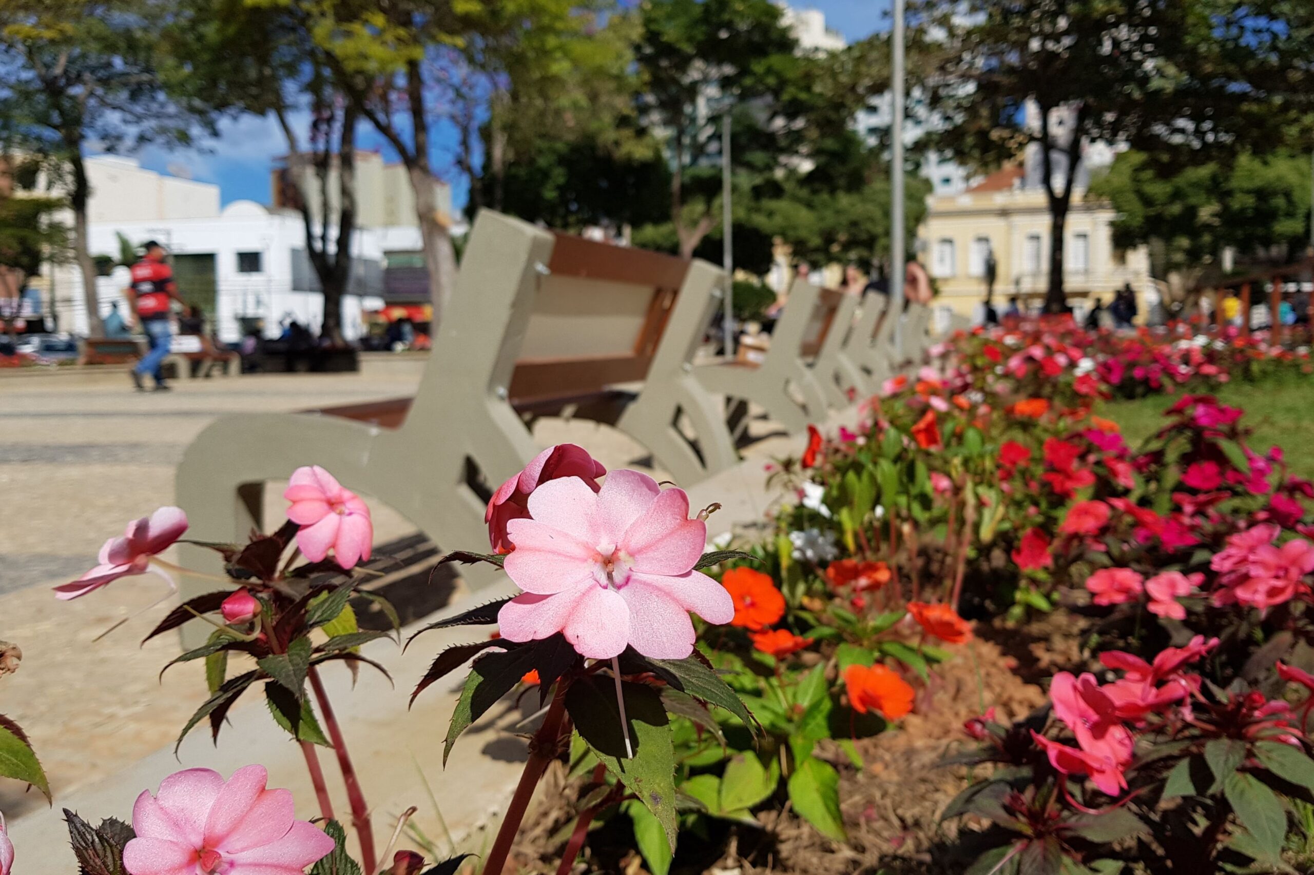 Câmara aprova transferência do Departamento de Parques e Jardins para a SEMABIO