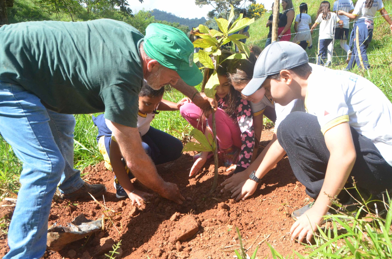 Programa Lençóis Viçosenses e ViJazz promovem plantio de árvores na comunidade de Córrego do Engenho