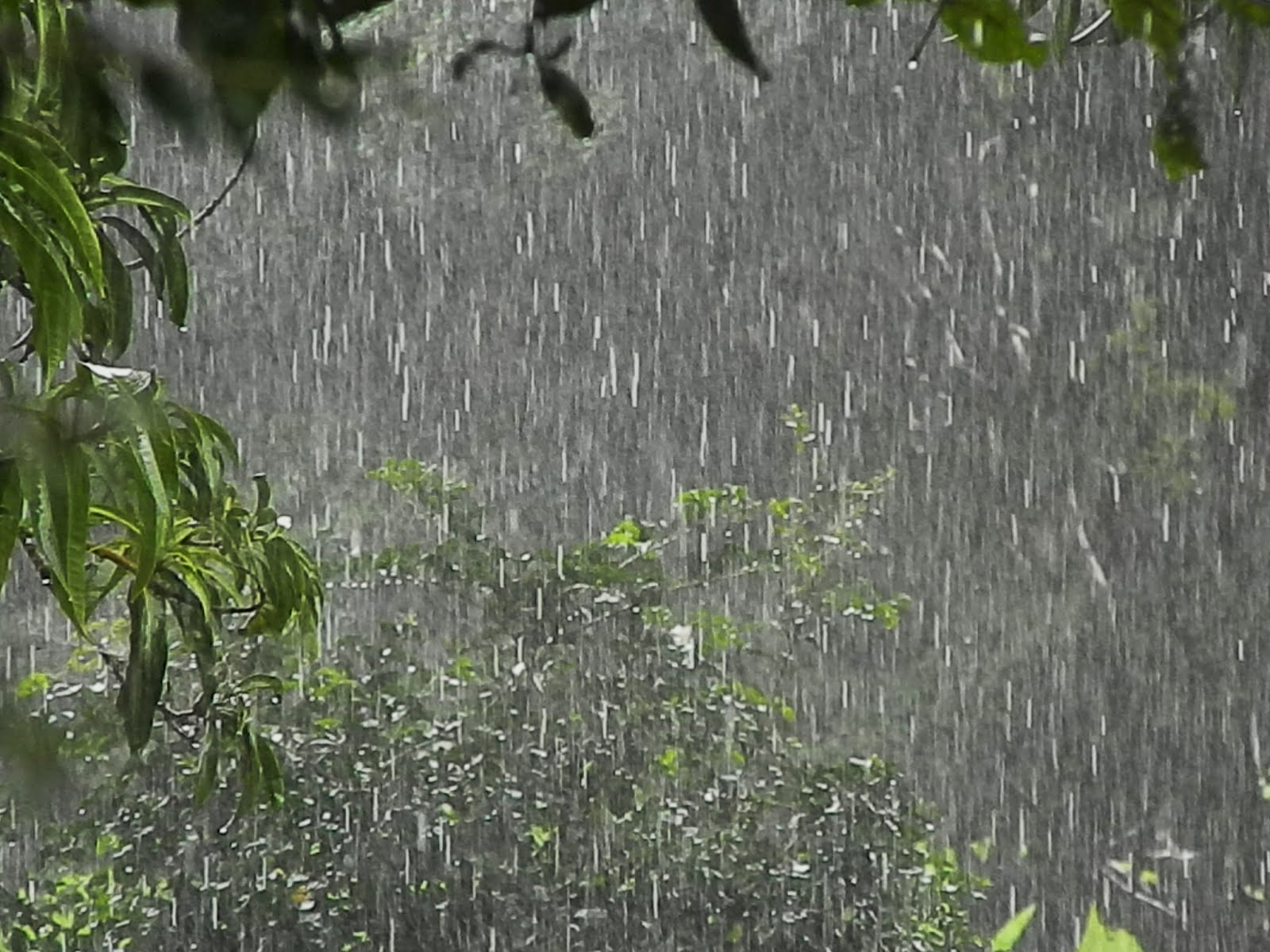 Alerta de chuva atinge 402 cidades de Minas nesta 6ª-feira (6)