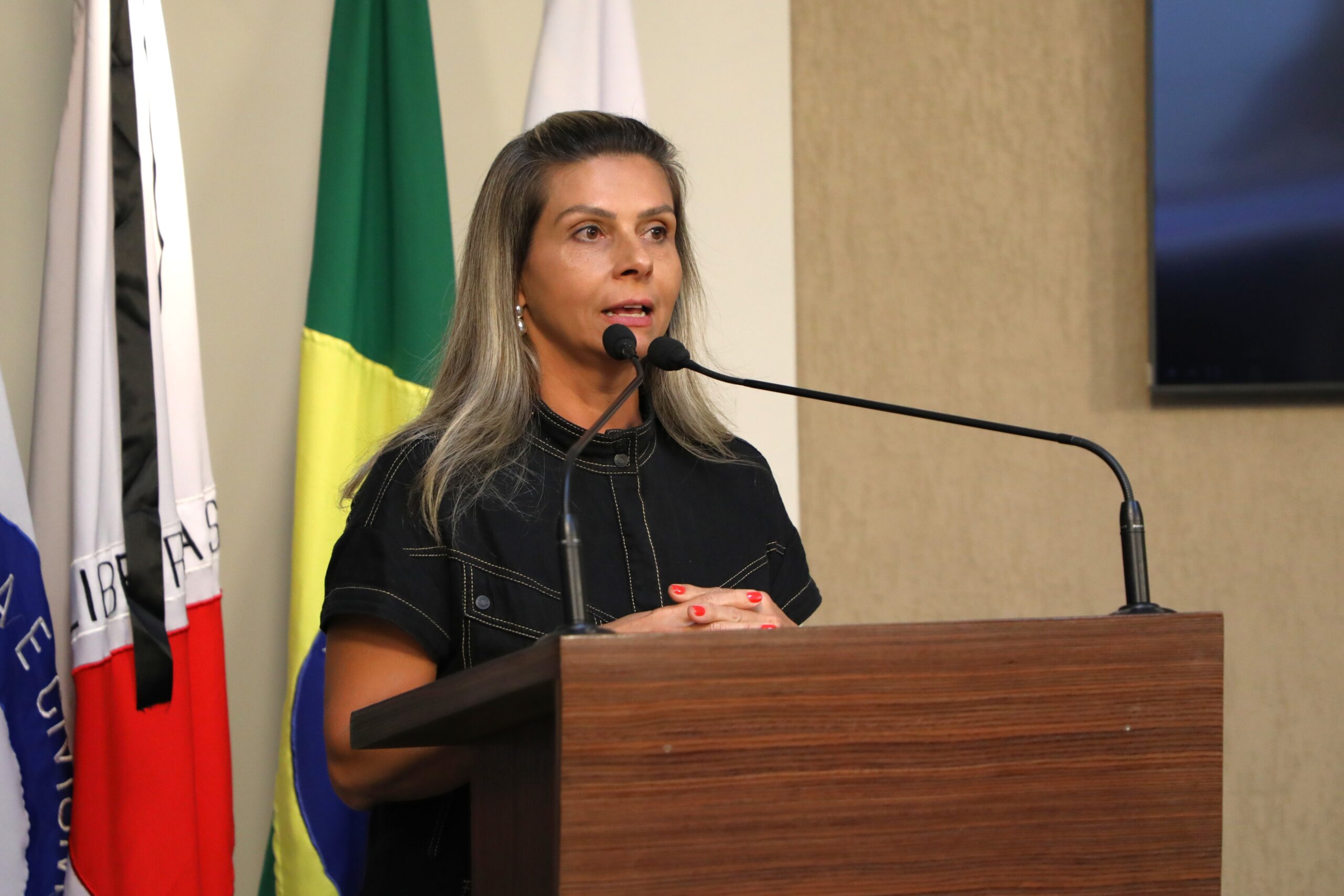 Viçosa: Projeto que endurece punições contra pichação é defendido na Câmara
