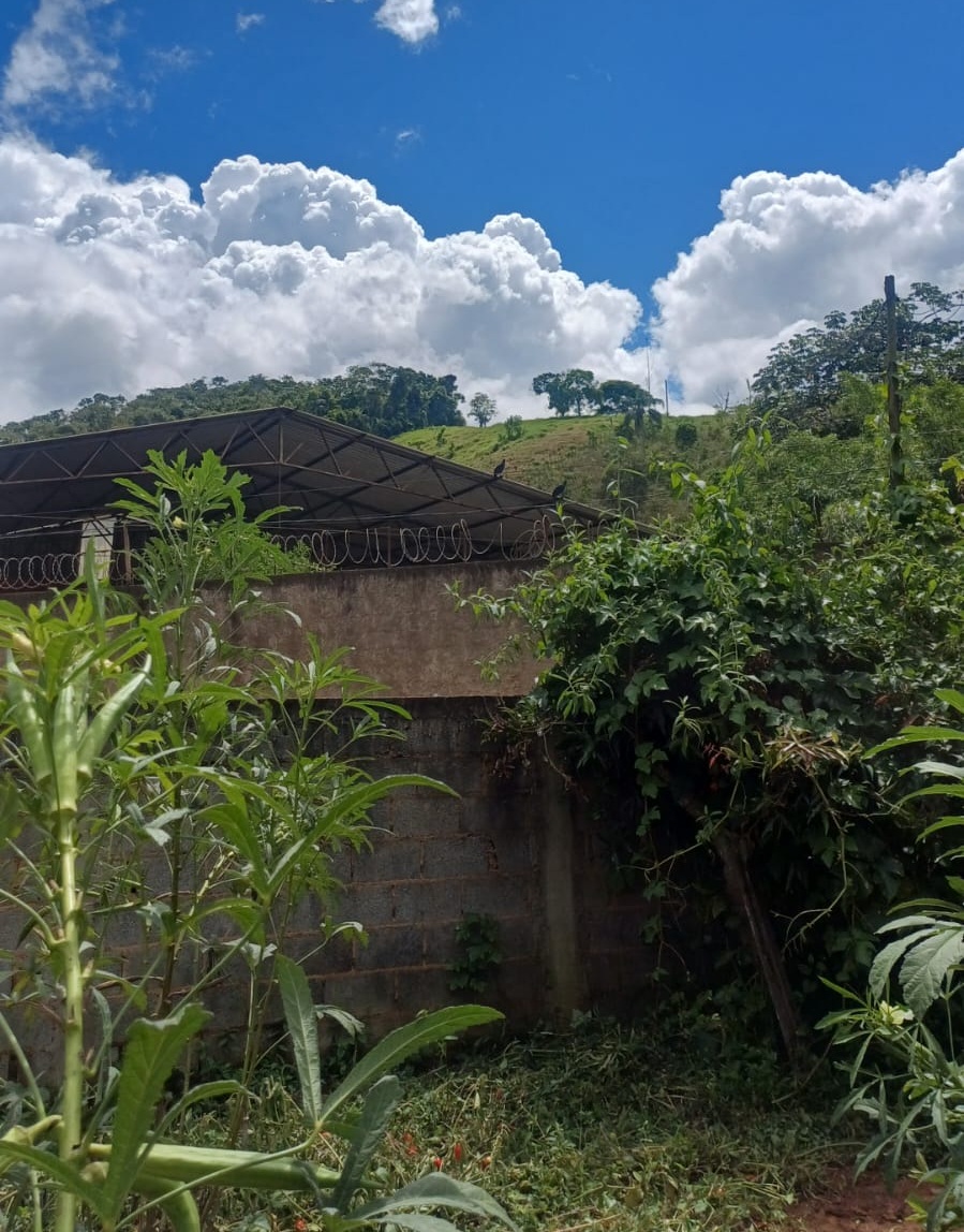 Moradores do Latão denunciam descumprimento de interdição e “jogo de empurra” na fiscalização de galpão