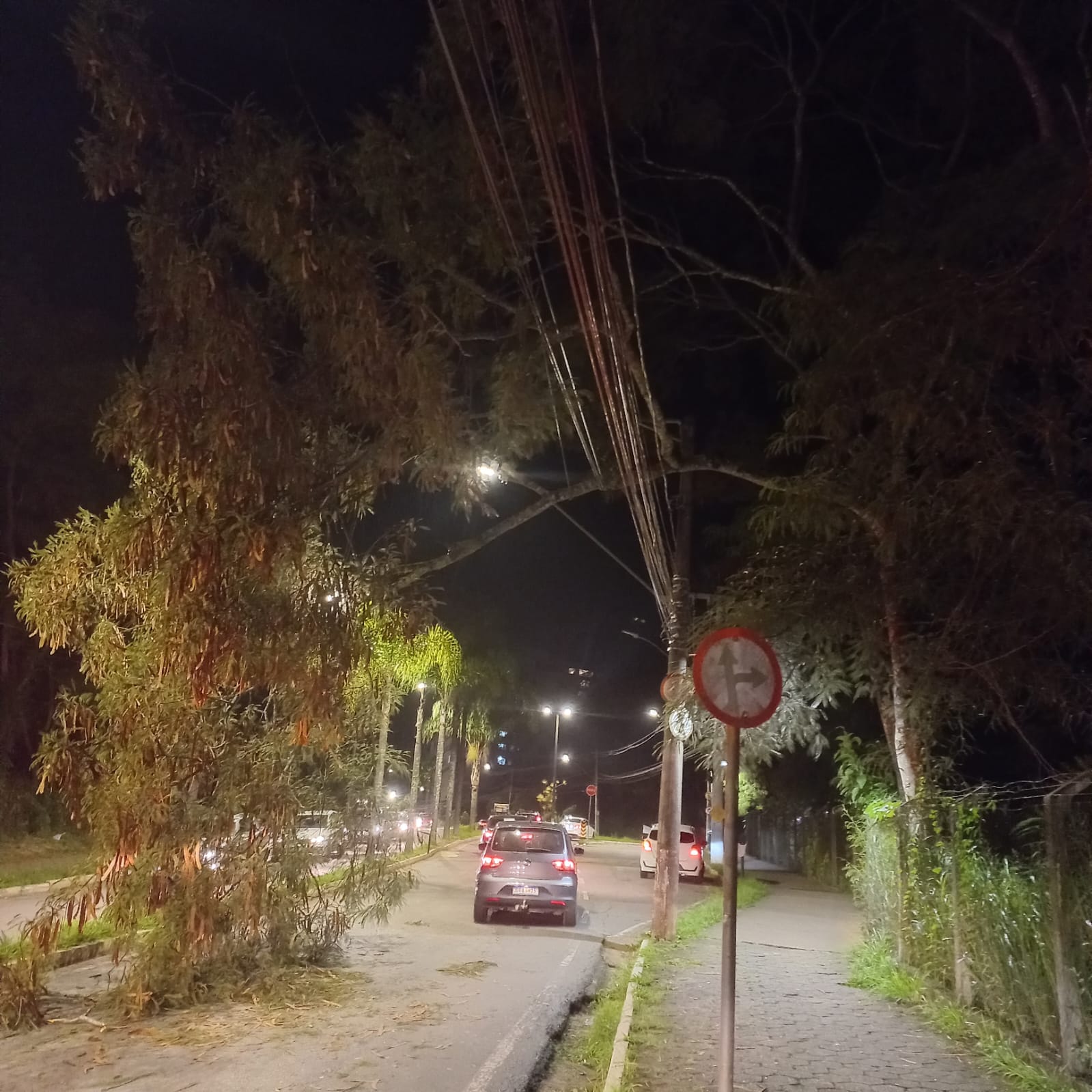 Galho de árvore cai sobre rede elétrica e mobiliza Bombeiros em Viçosa