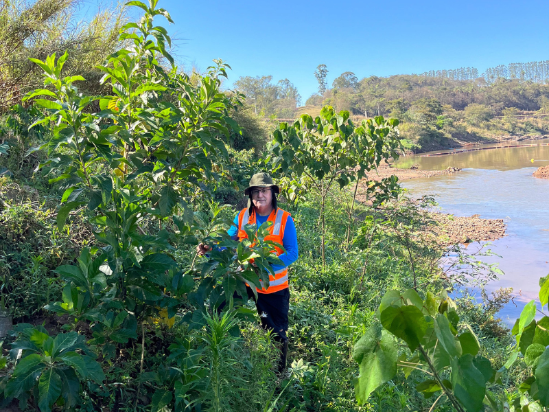 Estudo da UFV propõe uso de bioengenharia para recuperar margens do Rio Paraopeba após desastre em Brumadinho