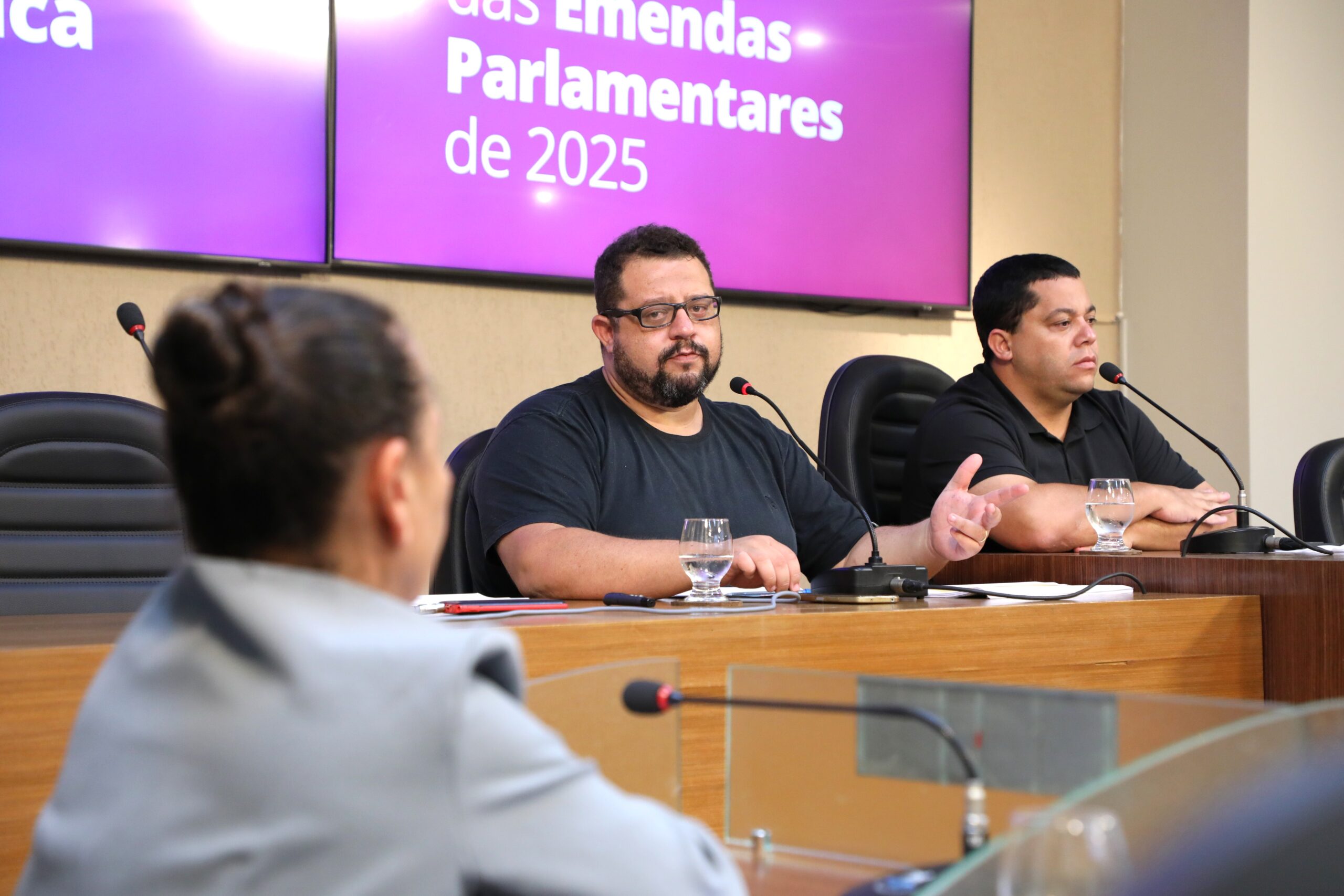 Audiência pública apresenta mais de R$ 35 milhões destinados a Viçosa em 2025
