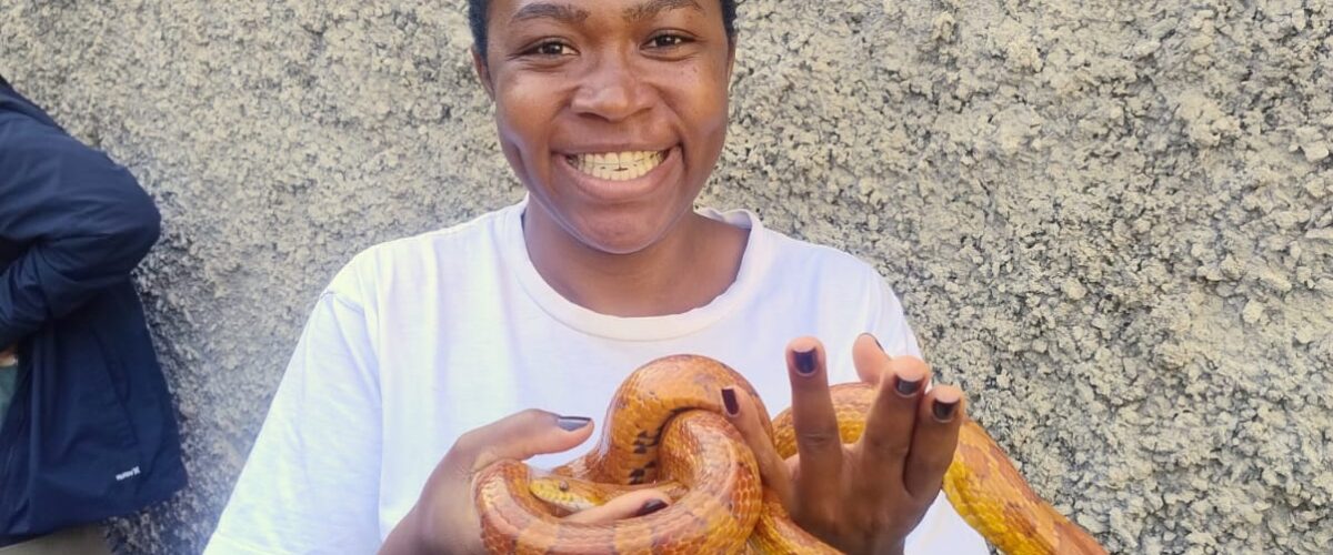 Parque do Cristo realiza Semana do Meio Ambiente com foco em fauna herpetológica