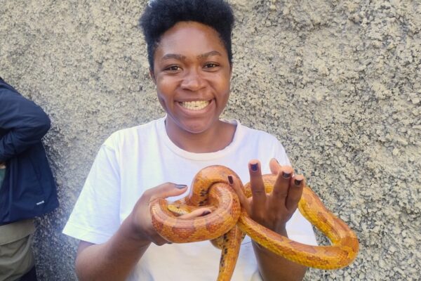 Parque do Cristo realiza Semana do Meio Ambiente com foco em fauna herpetológica