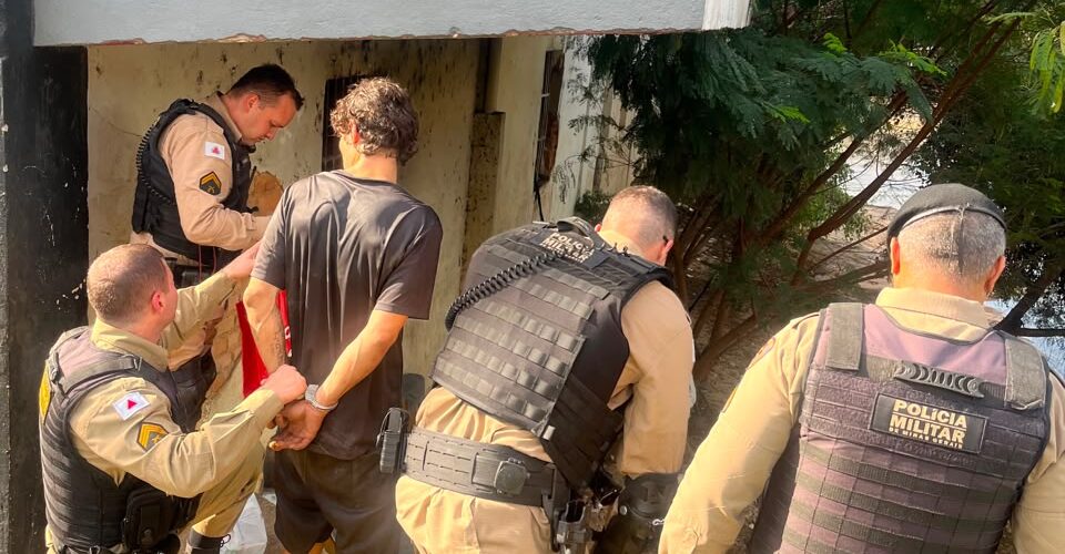 Três homens são presos após furto de carga de frango em Ponte Nova