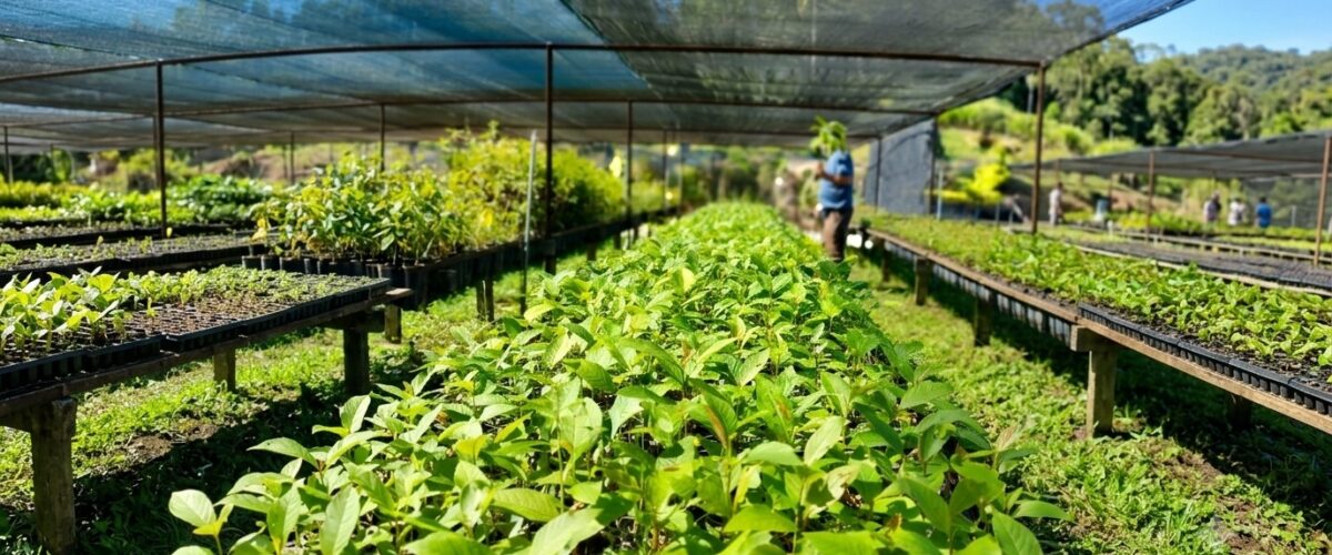 Governo de Minas lança projeto de recuperação ambiental na bacia do Rio Doce
