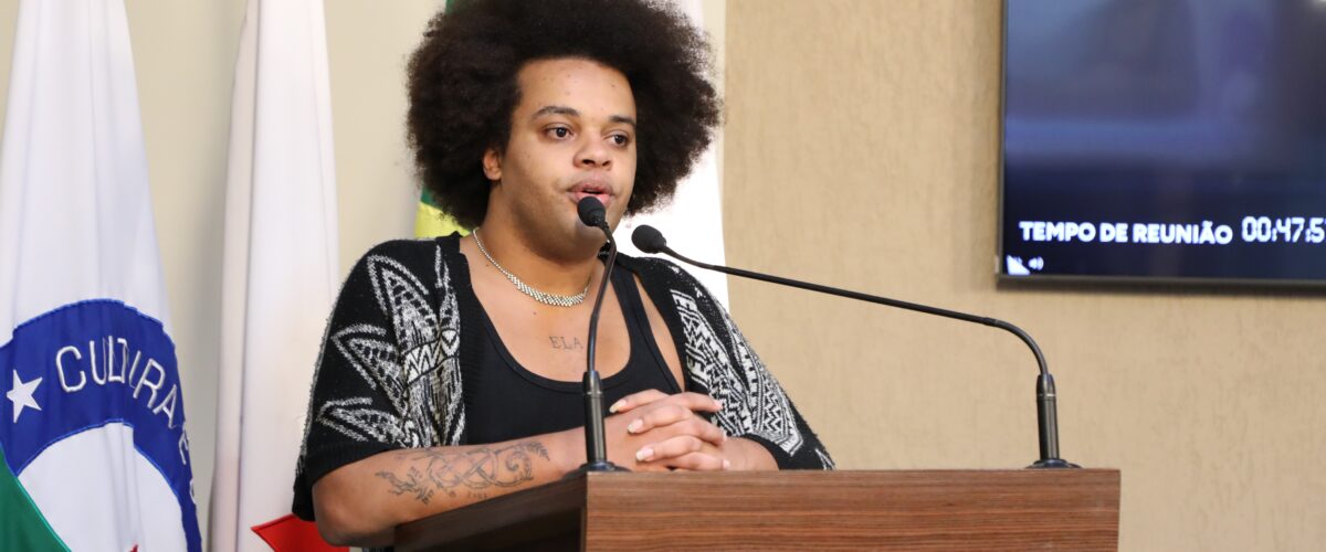Empregabilidade para pessoas trans é tema de debate na Câmara de Viçosa