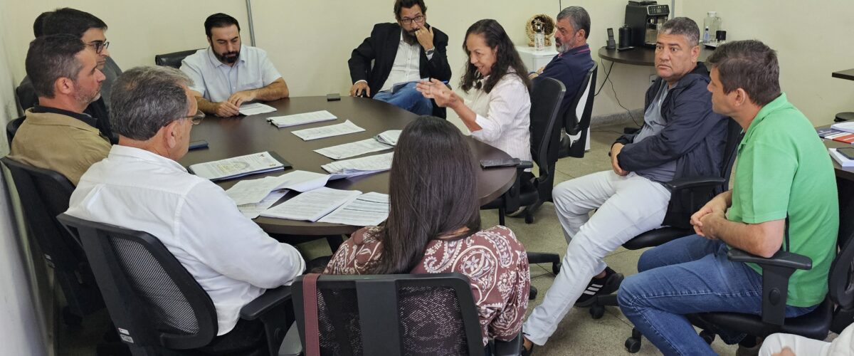 Votação da Guarda Civil Municipal é adiada na Câmara de Viçosa após pedido do líder do governo