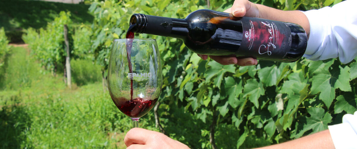Vinhos de colheita de inverno de Minas Gerais são destaque no Decanter World Wine Awards 2026