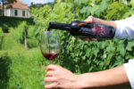Vinhos de colheita de inverno de Minas Gerais são destaque no Decanter World Wine Awards 2026