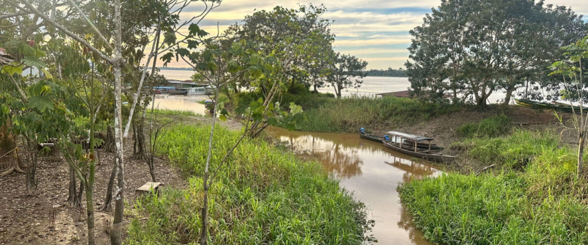 Estudo com participação da UFV propõe proteção legal em áreas ao redor de terras indígenas na Amazônia