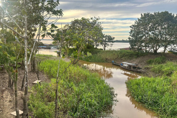 Estudo com participação da UFV propõe proteção legal em áreas ao redor de terras indígenas na Amazônia