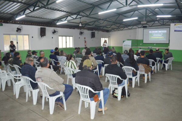 Encontro reúne pecuaristas, pesquisadores e técnicos para discutir estratégias na produção em Viçosa