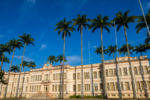 UFV abre seleção para novos integrantes do Grupo de Estudos em Avicultura no Campus Viçosa