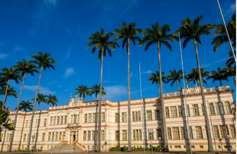UFV abre seleção para novos integrantes do Grupo de Estudos em Avicultura no Campus Viçosa