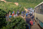 89 trabalhadores são resgatados em propriedades de café na Zona da Mata mineira