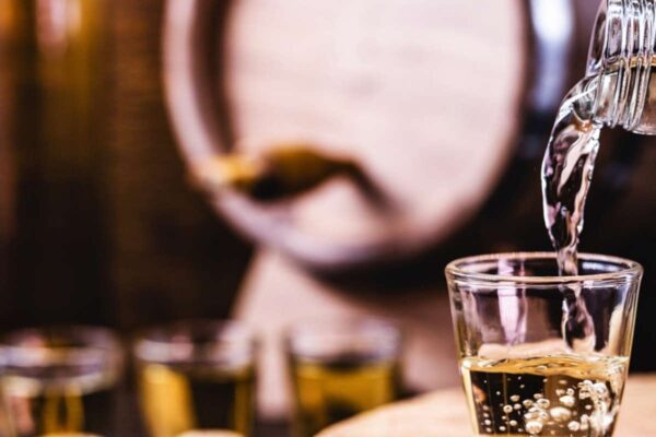 Semana do Fazendeiro terá workshops gratuitos sobre cachaça e agricultura regenerativa na UFV