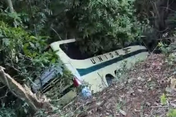 Ônibus da linha Visconde do Rio Branco sai da pista e cai em ribanceira na BR-040