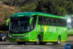 Deputados acionam MPMG contra Pássaro Verde após denúncias de passageiros