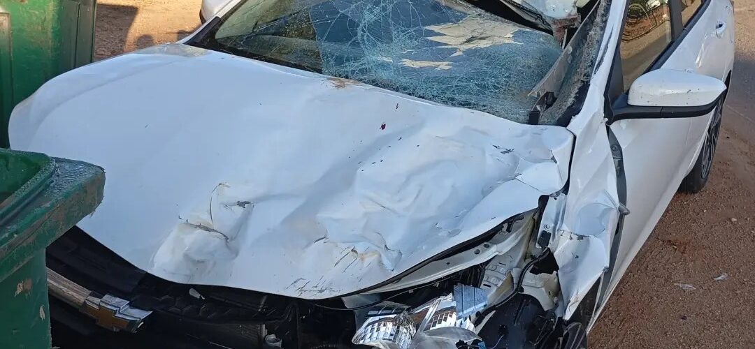 Motorista fica ferido após carro atingir cavalo na MG-447 entre Visconde do Rio Branco e Ubá