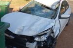 Motorista fica ferido após carro atingir cavalo na MG-447 entre Visconde do Rio Branco e Ubá