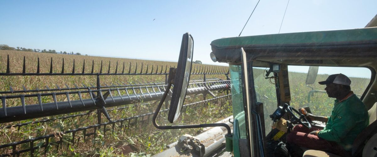 BDMG anuncia R$ 3 bilhões em créditos para a nova safra 2026/2027 e passa a financiar a agricultura familiar no estado
