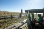 BDMG anuncia R$ 3 bilhões em créditos para a nova safra 2026/2027 e passa a financiar a agricultura familiar no estado