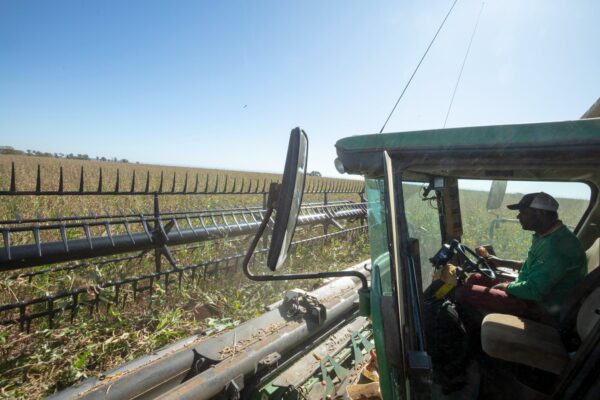 BDMG anuncia R$ 3 bilhões em créditos para a nova safra 2026/2027 e passa a financiar a agricultura familiar no estado
