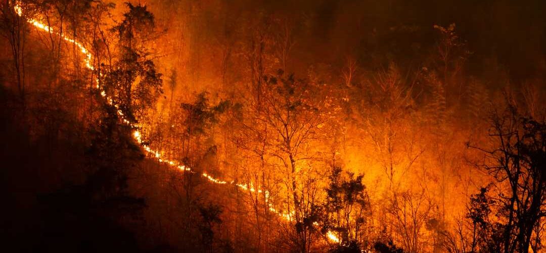 Bombeiros combatem incêndio em lote vago no bairro Júlia Molar, em Viçosa