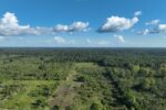 Pesquisa da UFV aponta limites na recuperação climática de florestas secundárias na Amazônia