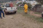 Viçosa inicia capina ecológica com solução à base de vinagre