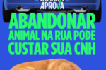 Projeto prevê suspensão da CNH para quem abandonar animais nas ruas