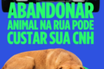 Projeto prevê suspensão da CNH para quem abandonar animais nas ruas
