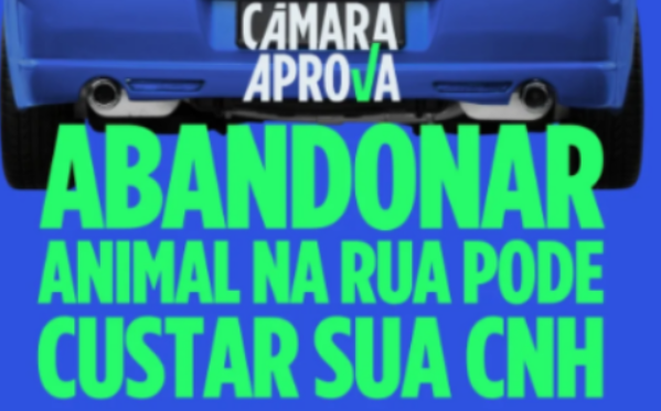 Projeto prevê suspensão da CNH para quem abandonar animais nas ruas