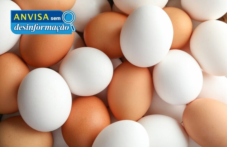 Anvisa desmente informação sobre presença de plástico ou petróleo em ovos