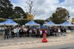 Viçosa realiza ação com castração e vacinação antirrábica