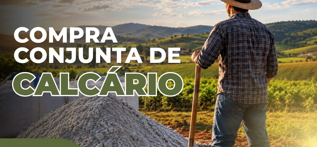 Viçosa intermedia compra conjunta de calcário para produtores rurais