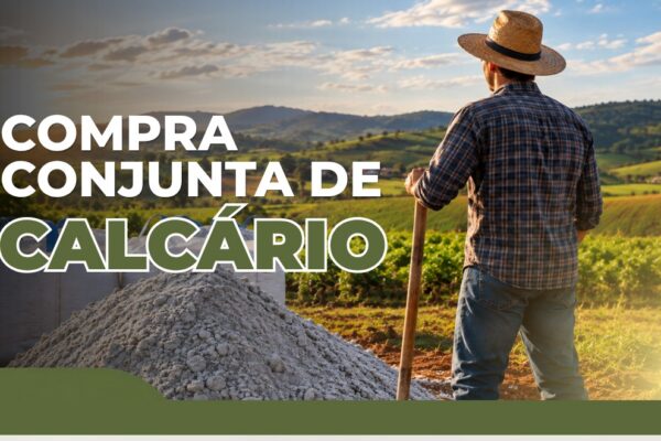 Viçosa intermedia compra conjunta de calcário para produtores rurais