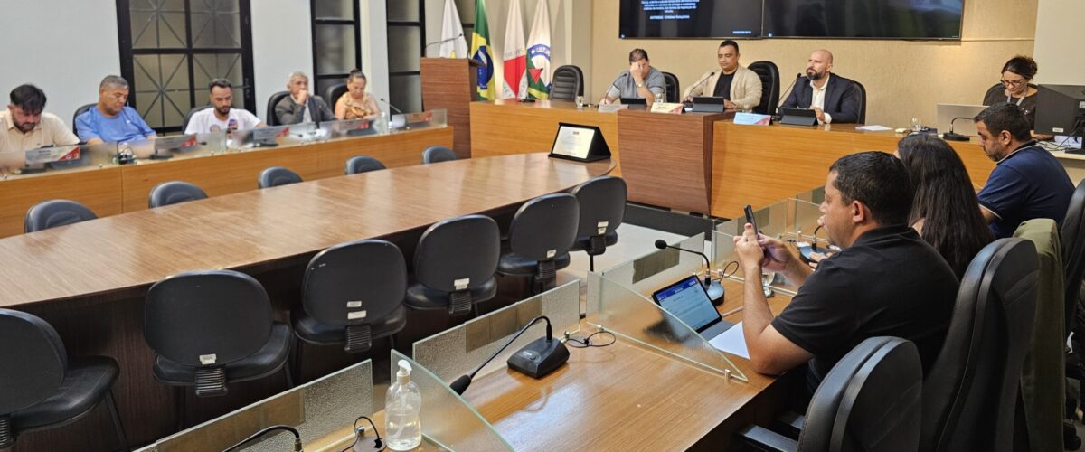 Câmara de Viçosa aprova criação da Guarda Civil Municipal