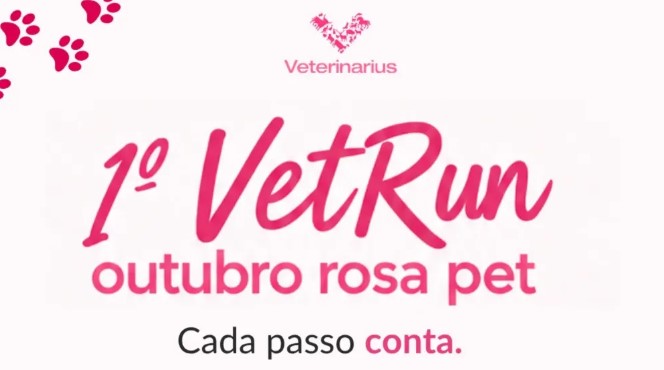 UFV recebe a primeira edição da VetRun: Outubro Rosa, com corrida de 5 km e atividades com cães