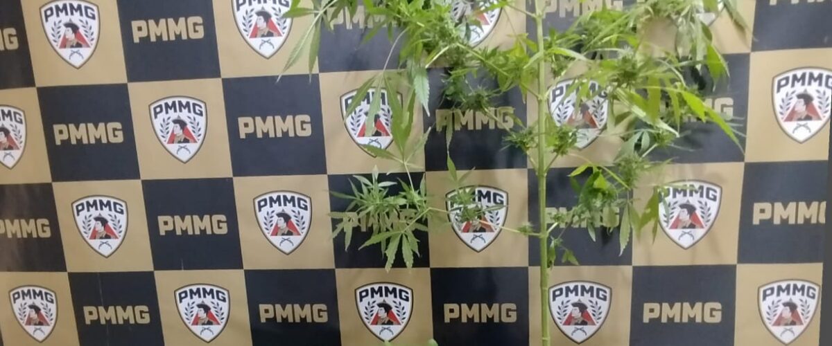 Homem de 30 anos é preso por tráfico de drogas em Ervália